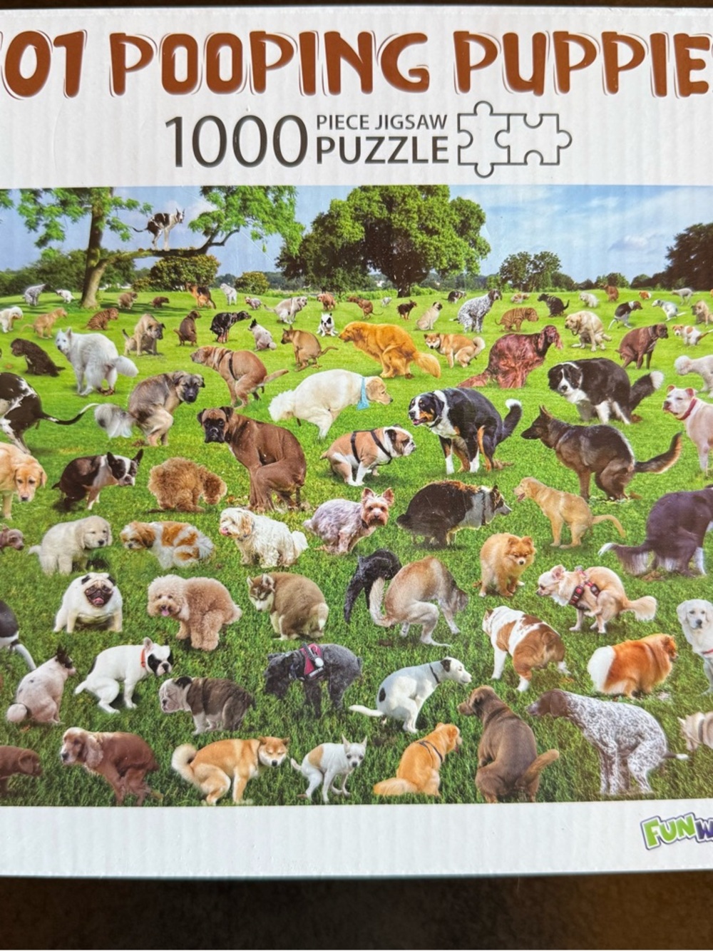1000-Piece Puzzle